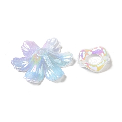 Regenbogenfarbene Acrylperlen mit schillernder Beschichtung&nbsp;OACR-U006-01F