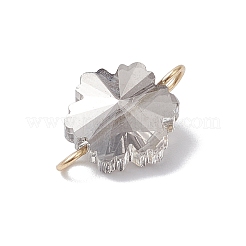 5 Stück galvanisierte Glasverbinder-Charms in 5 Farben&nbsp;PALLOY-JF04337-01