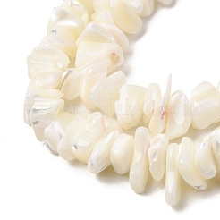 Fili di perline di conchiglia madreperla bianca naturale&nbsp;G-M205-63