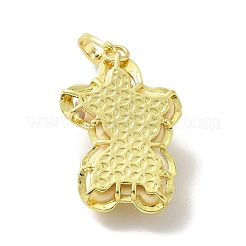 Pendenti in resina opaca&nbsp;KK-G406-01G