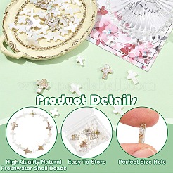 40pcs 4 Arten natürliche Süßwasser-Muschelperlen&nbsp;BSHE-YW0001-26