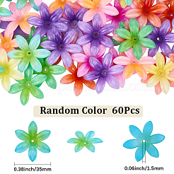 60 Stück undurchsichtige Acrylperlen&nbsp;OACR-SC0002-81