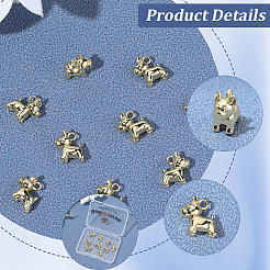 10 Stück Messing Charms&nbsp;KK-BBC0024-48