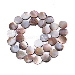 Chapelets de perles en coquillage naturel&nbsp;SSHEL-D084-13A