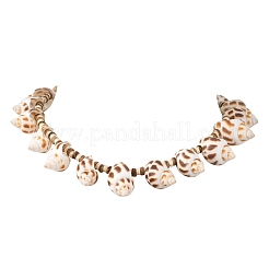 Halsketten aus natürlichen Spiralmuscheln und Kokosnussperlen aus dem Ozean&nbsp;NJEW-JN06303