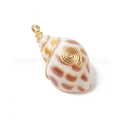Natürliche Spirale Shell Anhänger&nbsp;PALLOY-JF03316-02