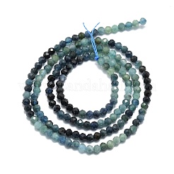 Natürliche strangförmige Perlen aus blauem Turmalin mit Farbverlauf&nbsp;G-P457-A01-14A