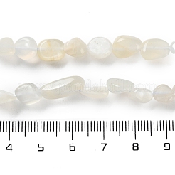 Natürlichen weißen Mondstein Perlen Stränge&nbsp;G-P497-01C-65