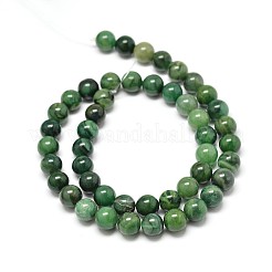 Natürliche westafrikanische Jade-Rundperlenstränge&nbsp;G-P075-03-8mm
