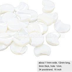 1 Strang natürliche weiße Muschelperlenstränge&nbsp;SSHEL-BC0001-18
