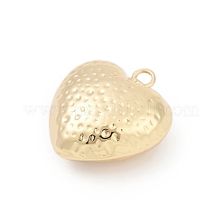 Messing Anhänger & Charms&nbsp;LS-KK-Q049-01I-G