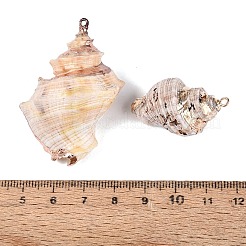 Große Anhänger aus galvanisierten natürlichen Muscheln&nbsp;SSHEL-Q100-23KCG