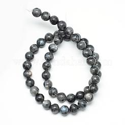 Brins de perles de larvikite naturelles&nbsp;G-R345-6mm-33