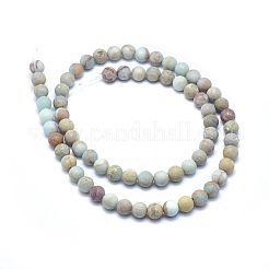 Natürliche Aqua Terra Jaspis Perlen Stränge&nbsp;G-N0128-48F-6mm