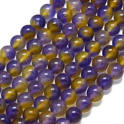 Chapelets de perles en jade de malaisie naturelle&nbsp;G-B165-C04-10mm