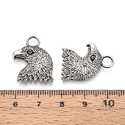 Tibetischer stil Aluminium Anhänger & Charms&nbsp;TIBEP-T053-12AS