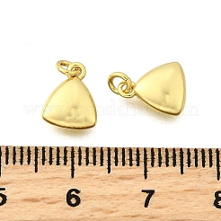Breloques en laiton&nbsp;KK-I275-12G-06
