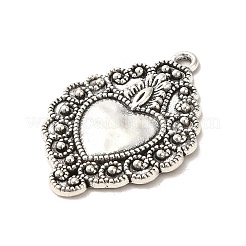 Tibetischer stil Aluminium Anhänger & Charms&nbsp;PALLOY-M217-01I-AS