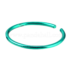 Aros para la nariz de acero inoxidable quirúrgico 316L&nbsp;AJEW-P063-01