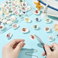 50 Stück 10 Farben Acryl- und Muschelanhänger&nbsp;PALLOY-CJ00046
