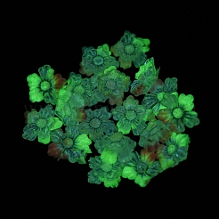Cabujones decodificados de resina transparente luminosa&nbsp;RESI-D013-06D