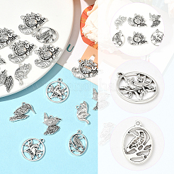 48 pz 6 stili pendenti in lega di stile tibetano&nbsp;FIND-SC0019-41