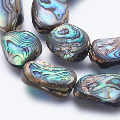 Natürliche Abalone Muschel / Paua Muschel Muschel Perlen Stränge&nbsp;SSHEL-P014-05