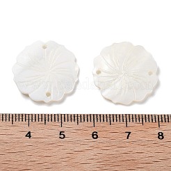 Natürlichen Süßwasser-Muschel Anhänger&nbsp;X-SHEL-D082-14A