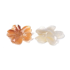 Natürlicher Achat Schmetterling Anhänger&nbsp;G-Q164-20