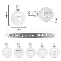 24 pièce 6 styles breloques en acier inoxydable 304&nbsp;STAS-UN0048-62