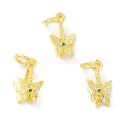 Latón chapado en rack pavimenta circonio cúbico mariposa picahielo pinch bails&nbsp;KK-G464-06G