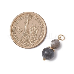 3 Stück 3 Stile natürlicher Lavastein & Larvikit & goldener Glanz Obsidian runde Perlenanhänger&nbsp;PALLOY-JF04701-07