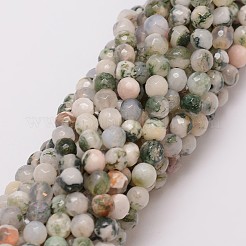 Chapelets de perle en agate d'arbre naturelle&nbsp;G-G882-6mm-E02