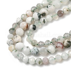 Natürlichen Baum Achat Perlen Stränge&nbsp;G-G189-D12-03