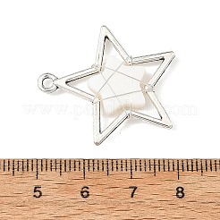 Natürliche Muschel mit Anhängern aus einer Legierung&nbsp;PALLOY-TA00456