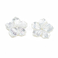 Perles de coquillage blanc naturel&nbsp;SSHEL-N027-131B-01