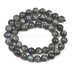 Chapelets de perles en labradorite naturelle &nbsp;G-P336-19-8mm-01