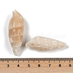Natürliche Spirale Shell Anhänger&nbsp;SHEL-K009-17B