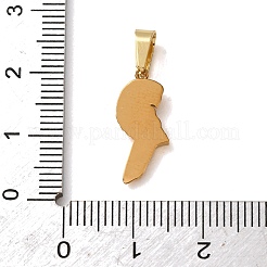 Ciondoli in acciaio inossidabile 304 con micro pavé di zirconi cubici&nbsp;CU-CBA703A-03G-02