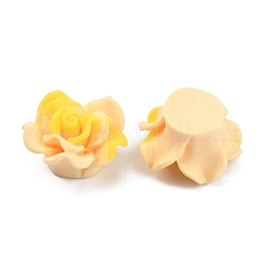 Cabochons en résine givrée de couleur tachée&nbsp;RESI-TAC0018-13F