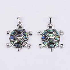 Abalone Muschel / Paua Muschel Anhänger&nbsp;SSHEL-L008-12P