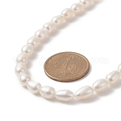 Natürliche Perlenkette für Frauen&nbsp;NJEW-JN04188-02