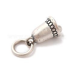 Breloques en 925 argent sterling&nbsp;STER-G033-04AS