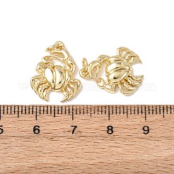 Messing Anhänger & Charms&nbsp;KK-C143-46G-G02