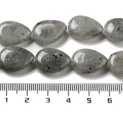 Natur Labradorit Perlen Stränge&nbsp;G-P528-L03-01