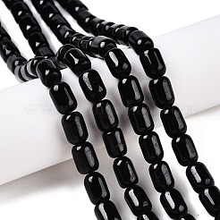 Natürliche schwarze Turmalin Perlen Stränge&nbsp;G-G980-48