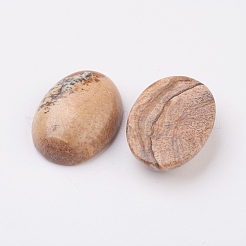 Natürliche Bild Jaspis flach zurück Cabochons&nbsp;G-G741-22x30mm-07