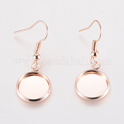 Ganci orecchino di Ferro&nbsp;EJEW-WH0004-07RG
