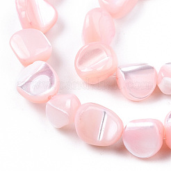 Fili di perle di conchiglia trochid naturale / trochus&nbsp;SSHEL-N032-49-A