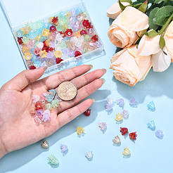 160 pièce de 8 couleurs de perles en acrylique imitation gelée à 6 pétales&nbsp;JACR-YW0001-02